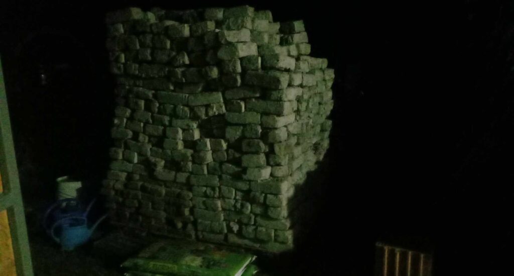 496509159_1229196492064818_8580646620791207343_n